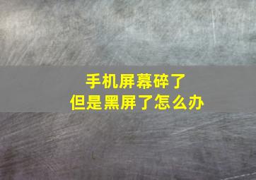 手机屏幕碎了 但是黑屏了怎么办